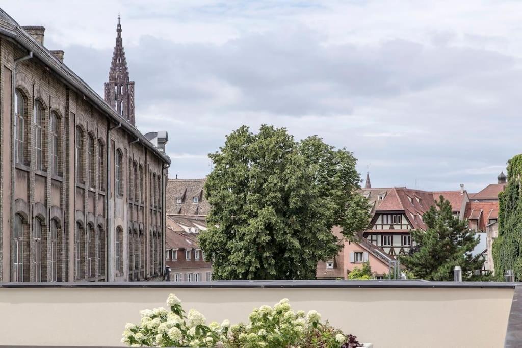L'Academie - Magnifique 3 Chambres Krutenau Avec Parking Strasburg Zewnętrze zdjęcie